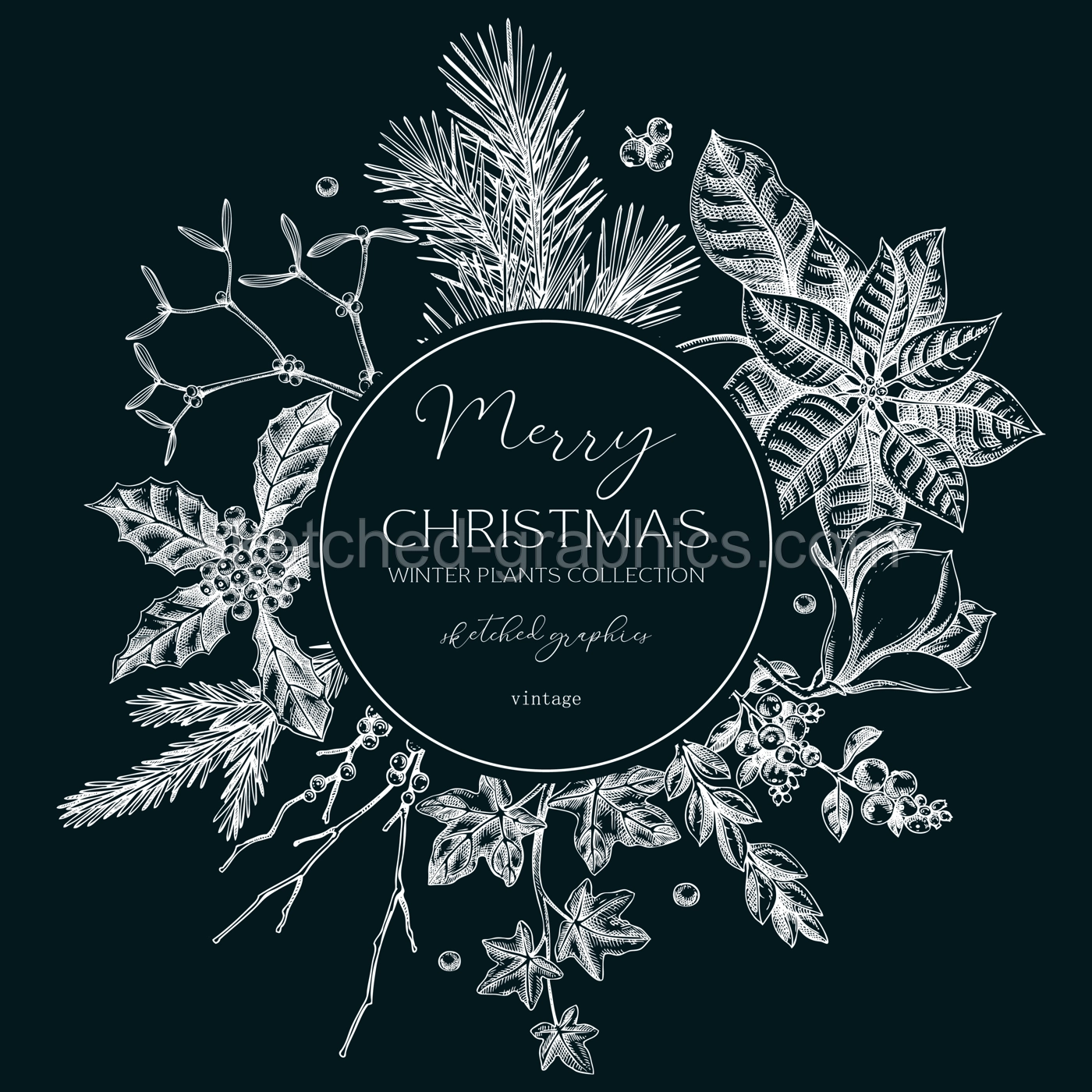 Winter nature wreath design. Christams card template. Conifer trees, winter flowers sketches. Hand-drawn vector illustration on chalkboard. NOT AI generated Illustration
